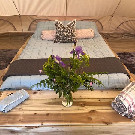 Bluebell Tent At Ballyward Croft Ardkeen Eksteriør billede