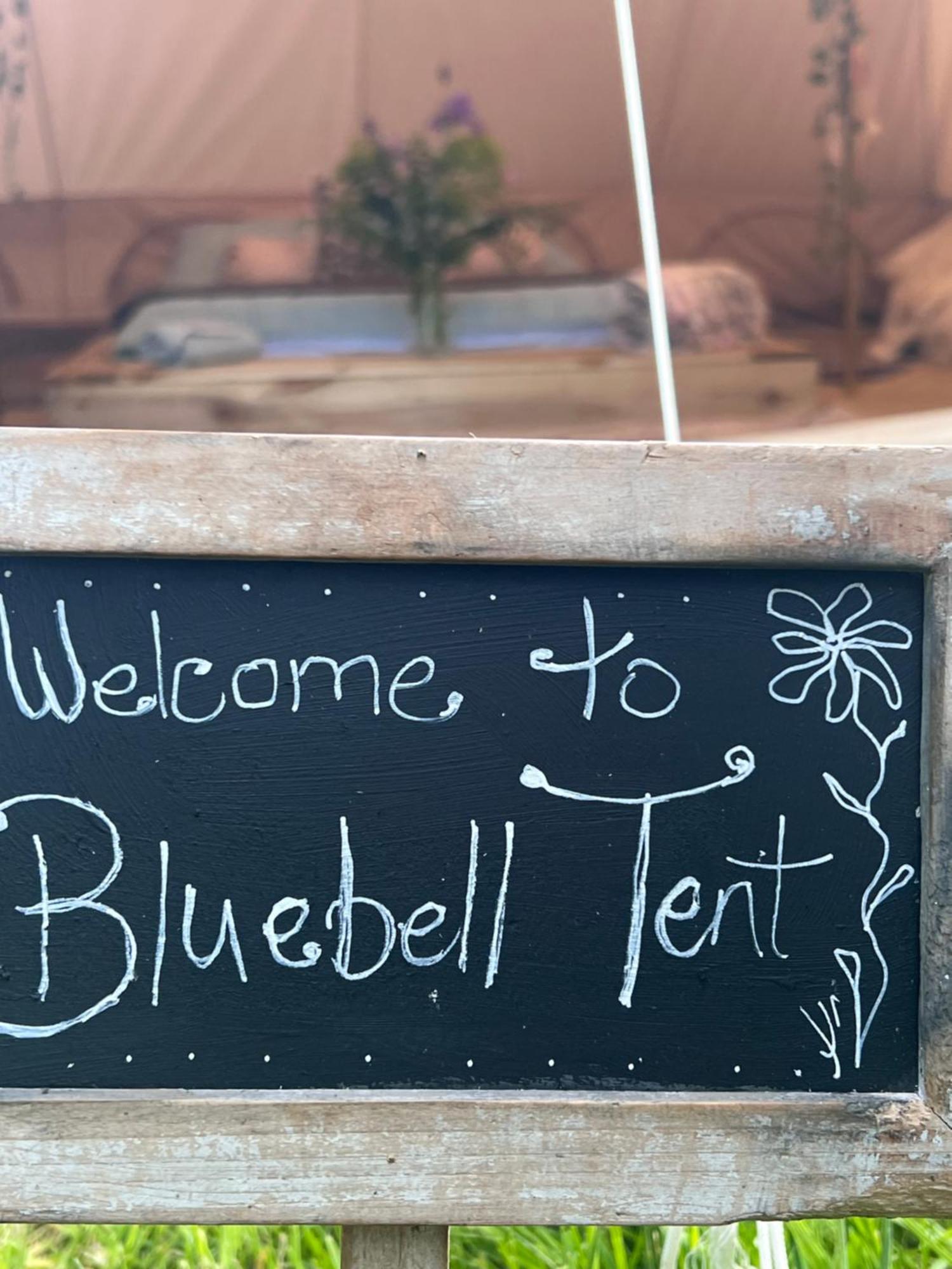 Bluebell Tent At Ballyward Croft Ardkeen Eksteriør billede