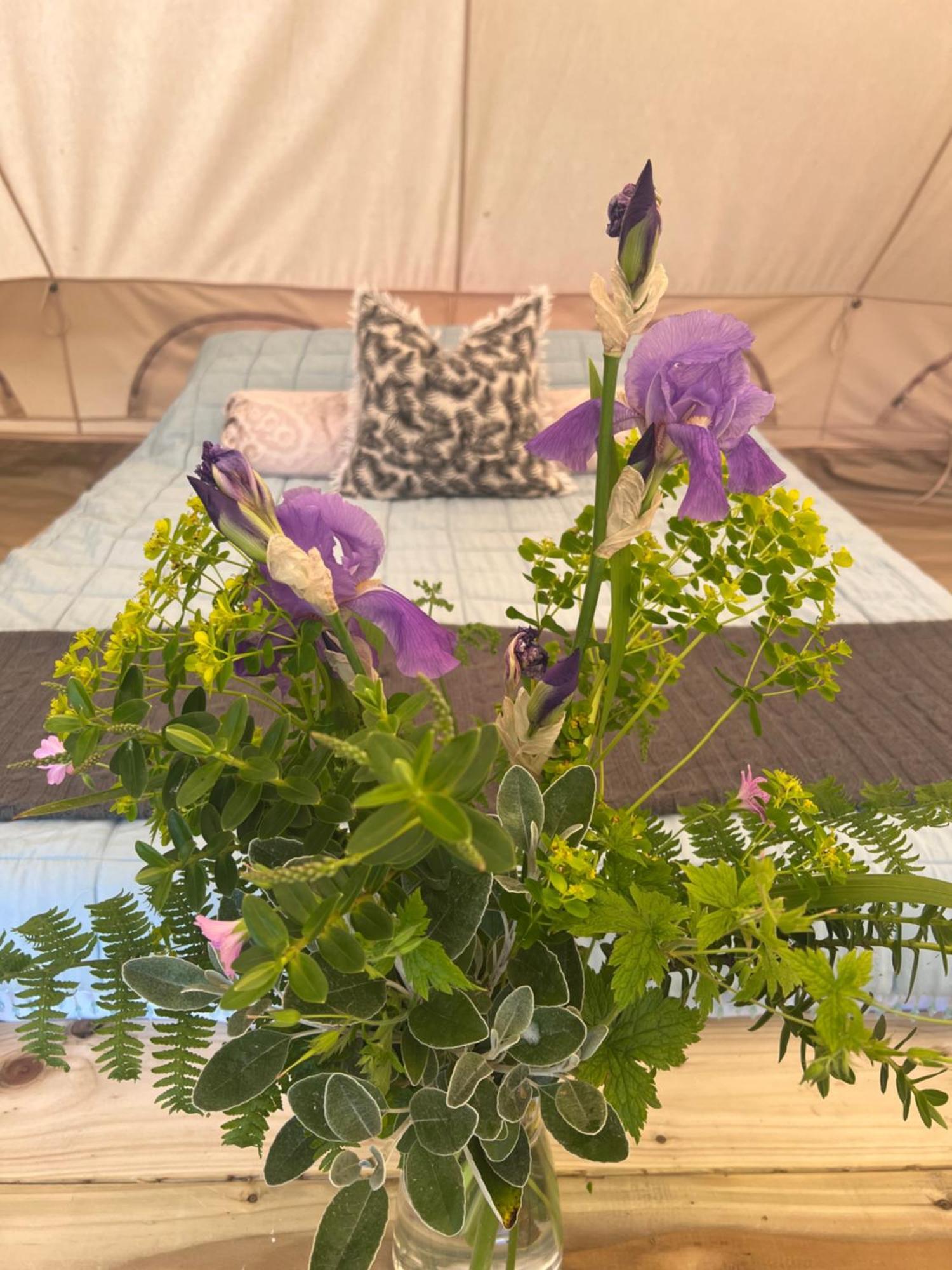 Bluebell Tent At Ballyward Croft Ardkeen Eksteriør billede