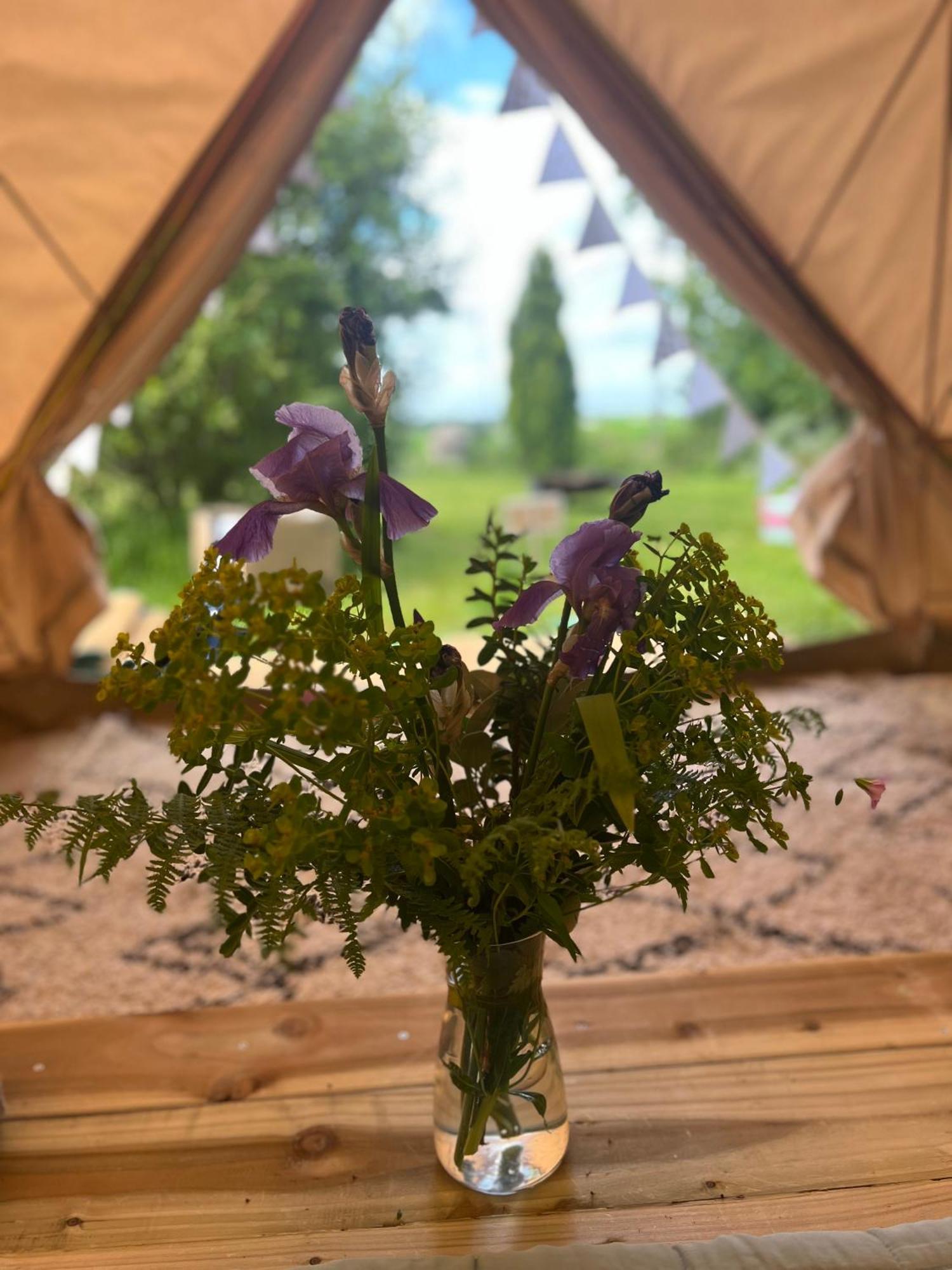 Bluebell Tent At Ballyward Croft Ardkeen Eksteriør billede